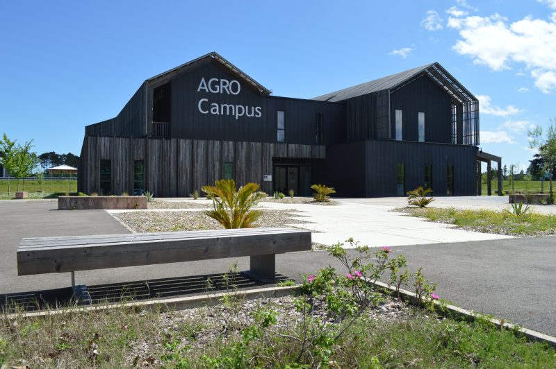 Agrolandes