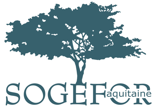 logo sogefor